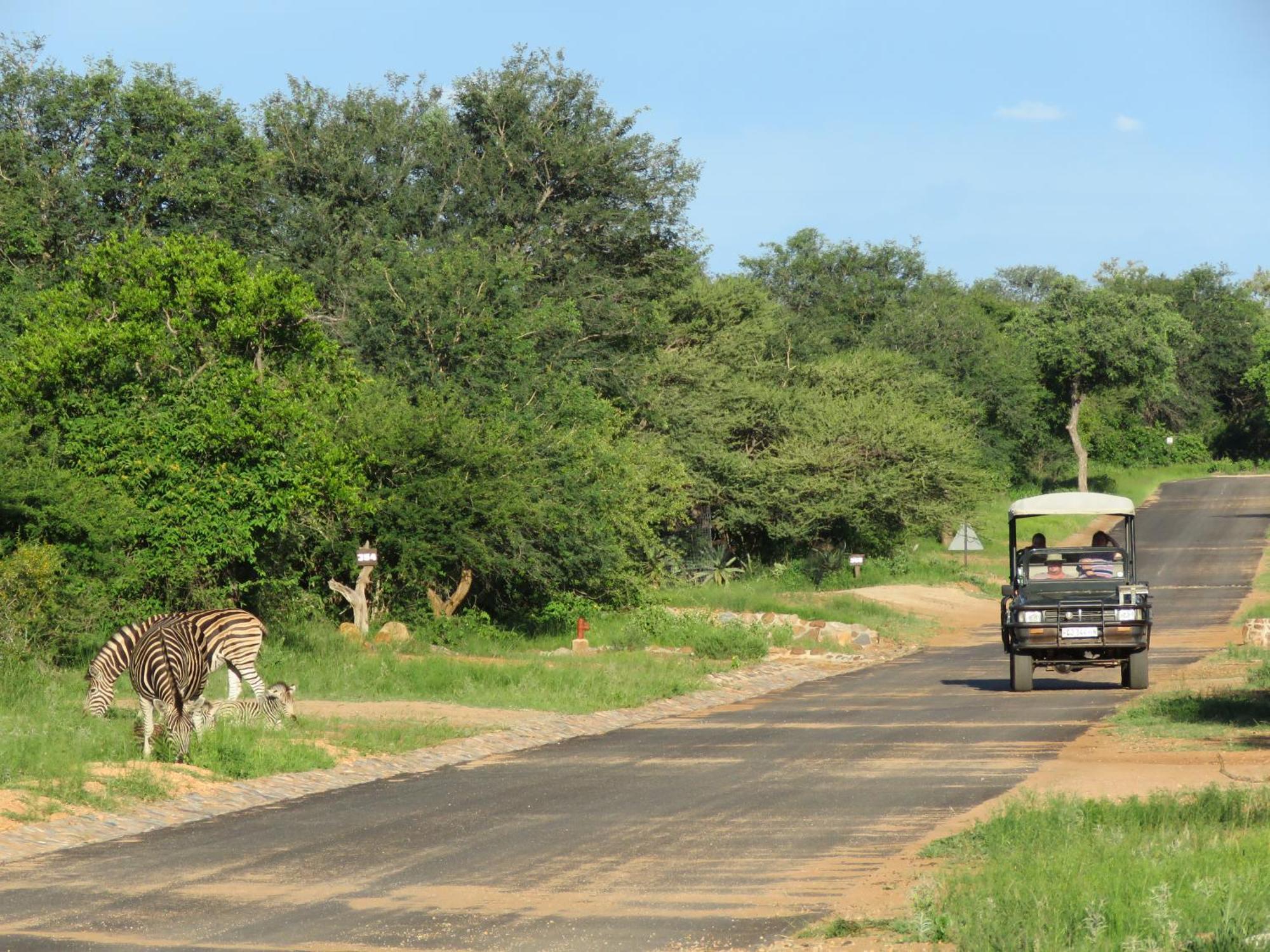 Wild Dog Guest Lodge Hoedspruit Exterior foto